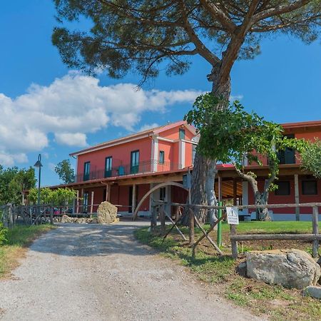 Terra Di Vento Bed & Breakfast Montecorvino Pugliano Exterior photo